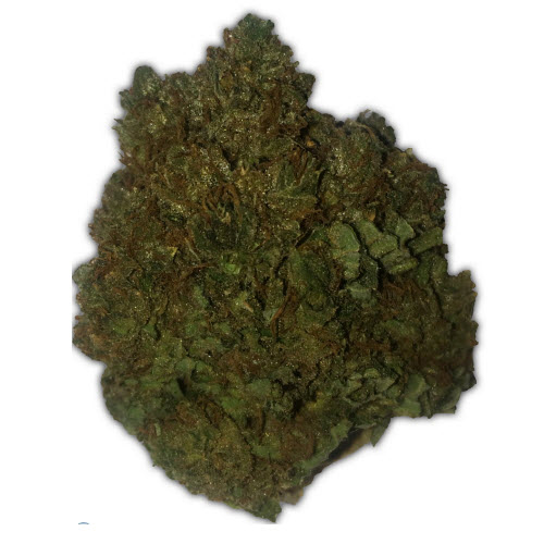 HEAVYWEIGHT SEEDS MONEY BUSH